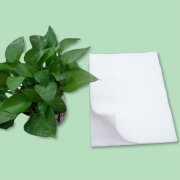 鮮花吸水棉的應(yīng)用